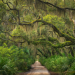 The US wants to swap federal land on Georgia’s Cumberland Island for privately owned parcels; any parkland leaving federal ownership would be permanently barred from subdivision and major development