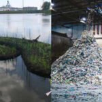 In 2017, Dubuque turned recycled plastic equal to about 67,000 water bottles into 14 floating islands; the 2,674-sq-ft system now adds plant, fish and bird habitat to Bee Branch Creek