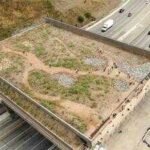 Joshua Tree wildlife crossings planned in California’s Mojave Desert to curb wildlife-vehicle collisions; two State Route 62 structures to protect bighorn sheep, mountain lions and bobcats with $6 million-plus funding