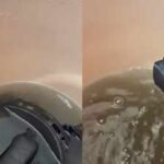 How To Clean Helmet Padding: Viral video shows how dirty helmet padding gets: Easy steps to clean them without hassle