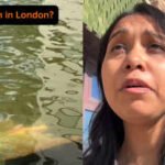 'Because we have to promote a culture, right? Toh hum log kya karenge? Ganesh ji ki murti ko lenge aur bas Thames mein phenk denge': Woman questions Ganesh Visarjan in London, video sparks debate