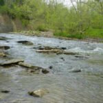 A Kentucky woman spent 35 years turning 45 acres into a nature preserve; now a nearly $40 million sewer project has secured seven easements across her land through eminent domain, triggering fresh county scrutiny