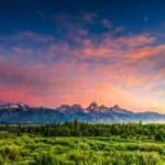 Scientists reconstructed a Wyoming forest from 56-million-year-old fossil leaves; it lost about 60% of its canopy during ancient warming and took more than 100,000 years to recover
