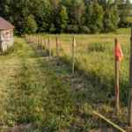 Michigan couple loses claim to 50-foot land strip after neighbour commissions two surveys