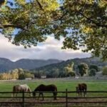 In 2022, a California owner agreed to a discounted $10 million sale of 402 acres despite approvals for 500+ homes; four years later, a land trust sued to stop permanent roads and utilities inside the preserve