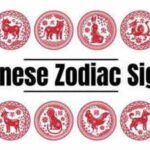 Horoscope Today, October 23, 2026: Chinese Zodiac Animals Who Should Act Fast but Keep Their Words Kind
