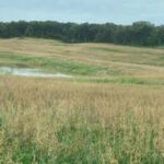 Iowa has begun a $4.9 million effort to reclaim 150 acres of abandoned coal mines, where dangerous embankments and acidic soils remain; the state says earlier work has already restored 7,195 acres