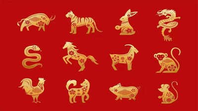 Horoscope Today, October 25, 2026: Chinese Zodiac Animals Whose Sunday Hunches Need a Quick Fact-Check