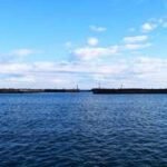 Scientists collected DNA from seawater at 316 sites across Japan and found 126 fish species farther north than previously recorded, revealing how warming seas may be reshaping where coastal wildlife can survive