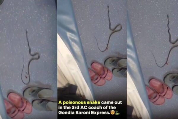 “Should we catch the snake?” Video shows poisonous snake in Gondia–Barauni Express 3AC coach; what travellers should do