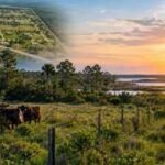A Florida owner planned 52 ten-acre homesites across his 625-acre cattle ranch if the county would not buy it; after two years of talks, officials agreed to pay $7.8 million and stop the development
