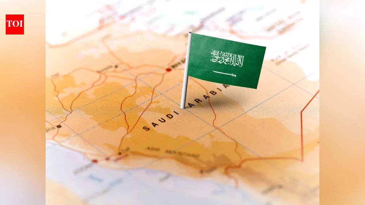 Bilateral Investment Treaty: Govt likely to sign BIT with Saudi Arabia