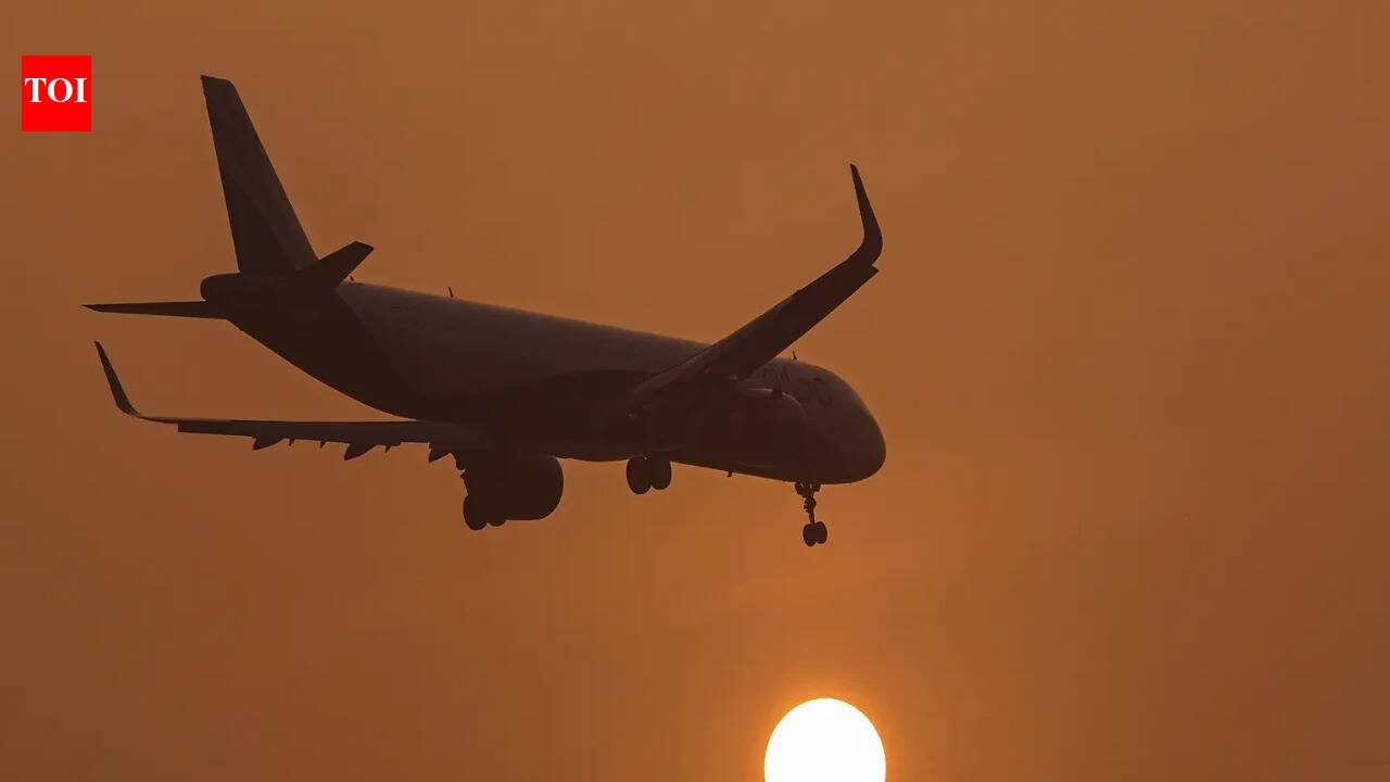 ATF price shock: Govt weighs revival of stabilisation fund as airlines feel fuel heat - report