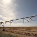 Idaho family has farmed 1,000 acres since 1950; after the state largely shut off its irrigation water in 2025, the owners say crops failed and are now suing to protect the family farm
