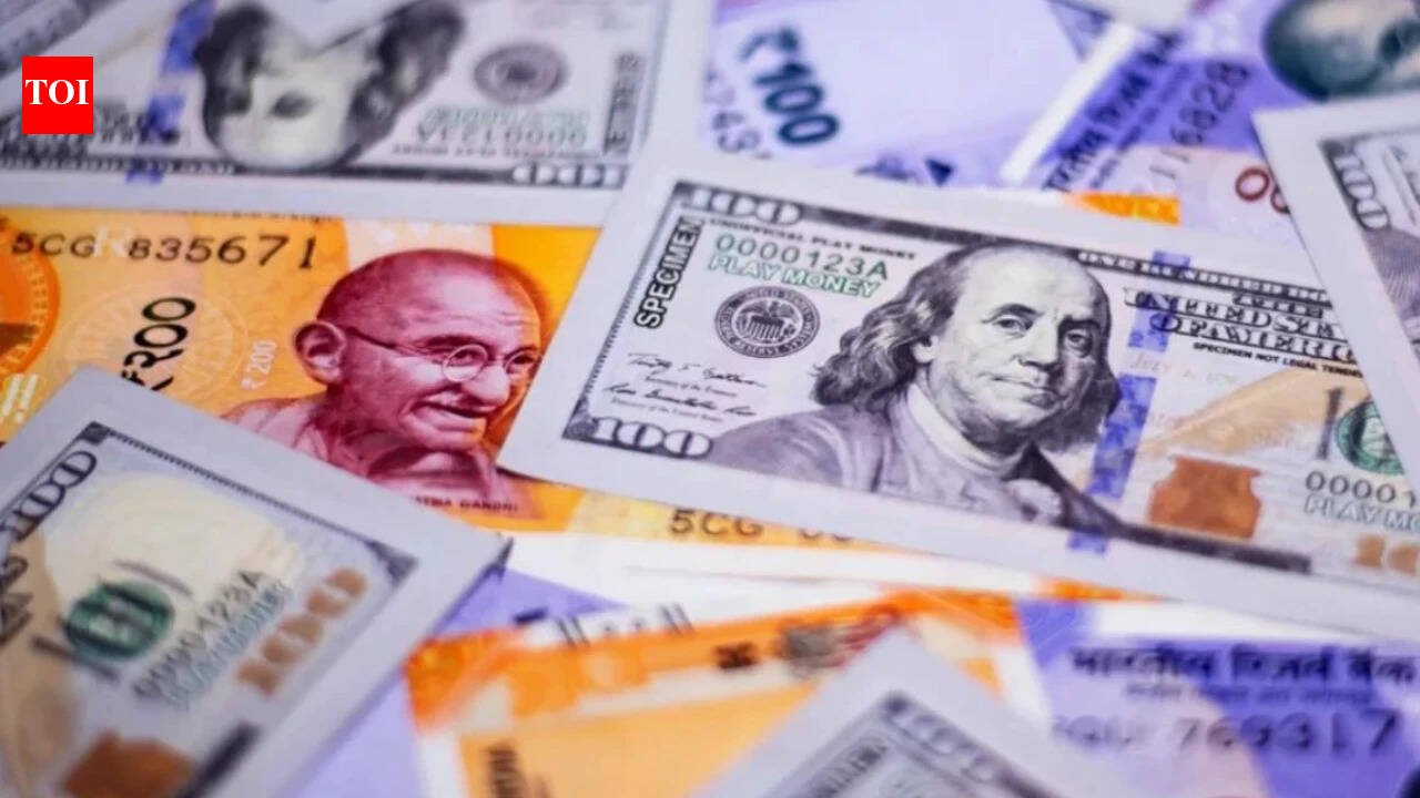 Forex reserves fall by $13bn to $734.6bn