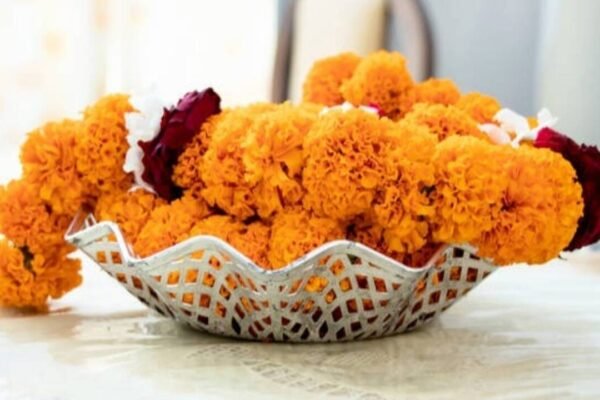 Want your Navratri marigolds to last longer? Avoid these common flower-care mistakes