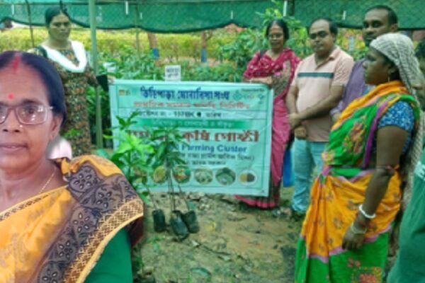 She once worked as a labourer on other people's farms; today Chhabita Pramanik leads 347 self-help groups, supports 500 families and helped build a network of nearly 3,500 women