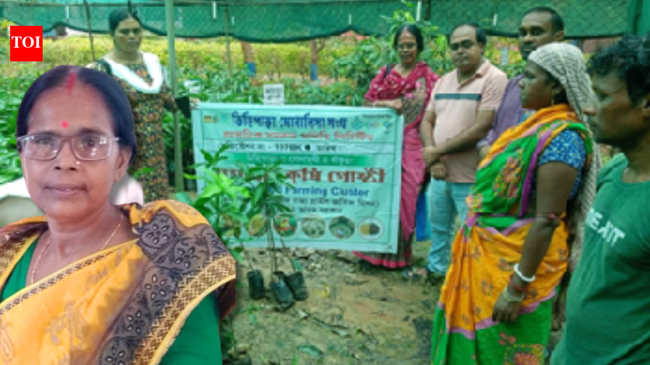 She once worked as a labourer on other people's farms; today Chhabita Pramanik leads 347 self-help groups, supports 500 families and helped build a network of nearly 3,500 women