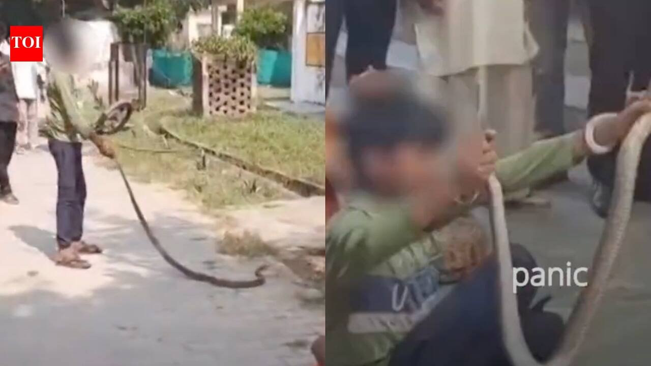Mahoba Health Centre: Six-foot snake spotted near lab at Mahoba health centre, triggers panic among patients