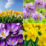5 Bulbs to plant in October for a beautiful spring garden filled with colourful blooms