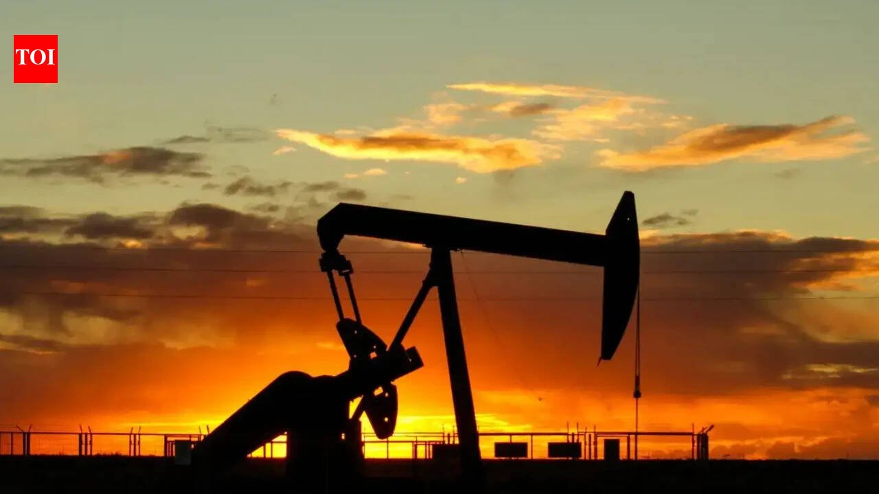 Russia ships 20 million barrels of oil to Asia via Arctic route amid shipping disruptions: Report