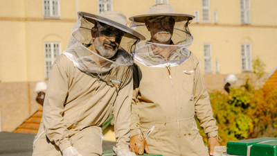 In 2010, a British anthropologist launched a small Copenhagen beekeeping project to help people facing exclusion from work; today it spans 80 to 100 urban colonies producing up to six tonnes of honey a year