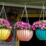 3 natural fertilizers to help petunias grow healthier and bloom beautifully