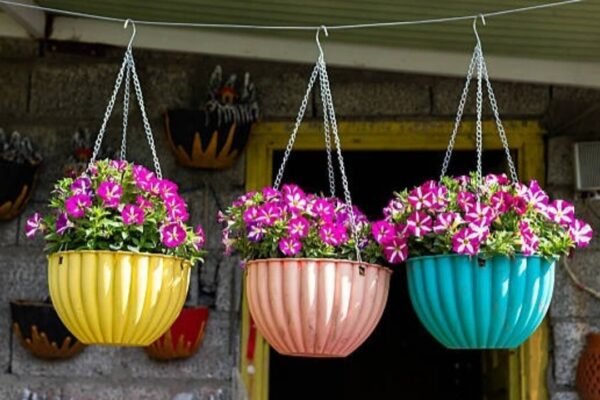 3 natural fertilizers to help petunias grow healthier and bloom beautifully