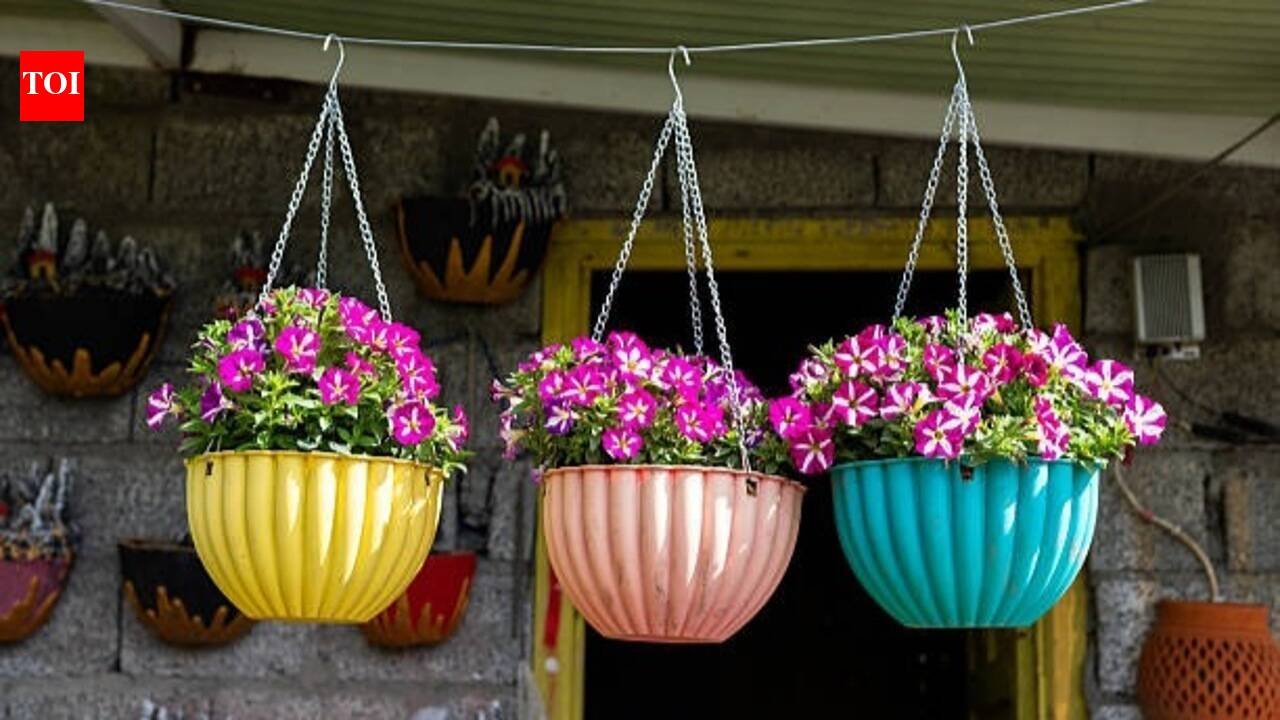 3 natural fertilizers to help petunias grow healthier and bloom beautifully