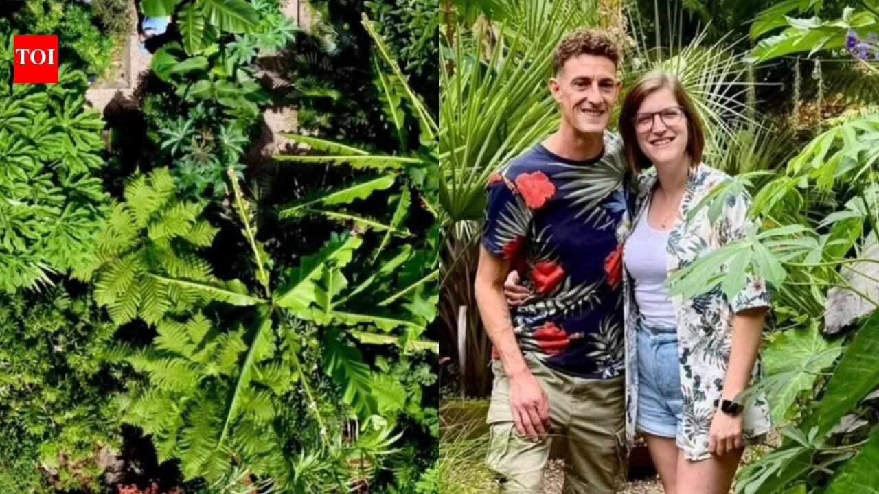 Newport couple started with a banana tree in their backyard; it grew into a tropical jungle with exotic flowers, spiky foliage and poisonous plants: The garden, inspired by their travels, has become so wild that their son now gives friends a “danger tour” of its plants |