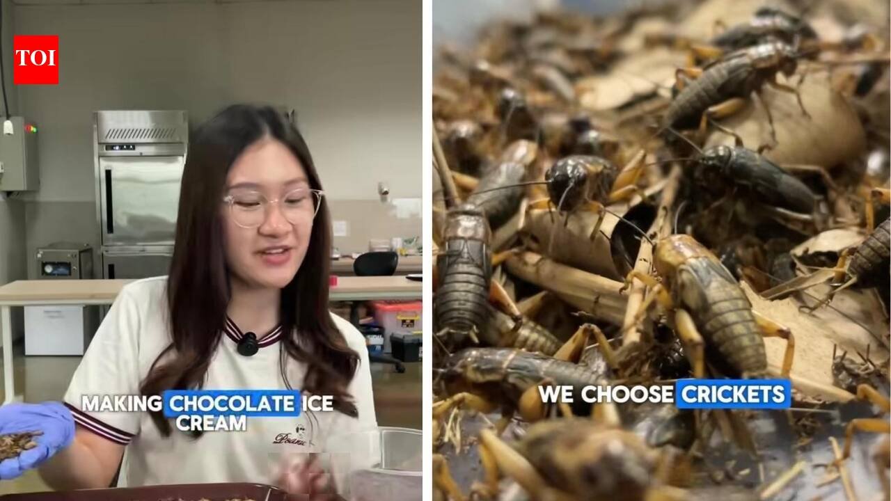 Video: Student makes chocolate ice cream using crickets; internet reacts: ‘I'm never eating chocolates again’
