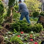 An Indiana homeowner chopped down shrubs, trampled tulips and tore up landscaping lights in a shared garden, calling it routine maintenance; after an HOA went to court, an appeals panel upheld the injunction