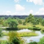 In 2022, workers began turning an illegal dumping ground at Philadelphia's FDR Park into a wetland; by 2026, 33 acres had been restored with 7,000 trees and new space for birds and turtles