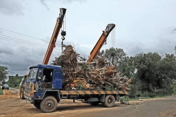 A Hyderabad developer building a 150-acre residential project faced losing around 800 mango trees to a link road, so he bought another plot and spent six to eight months moving the trees instead of cutting them down