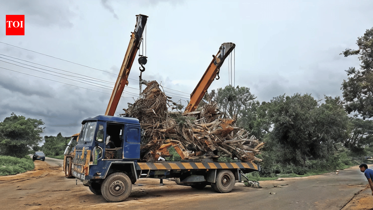 A Hyderabad developer building a 150-acre residential project faced losing around 800 mango trees to a link road, so he bought another plot and spent six to eight months moving the trees instead of cutting them down