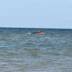 'Started to sink backwards': 139 migrants, including 15 children, killed as boat capsizes off Djibouti
