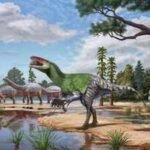 A fossil found on England’s Isle of Wight in 1924 revealed a previously unknown long-clawed dinosaur; researchers identified the first megaraptor of its kind known from Europe |