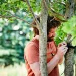 A London museum's urban garden collected more than 11 million environmental records in one year; 50 sensors tracked heat, humidity, birdsong and underwater sounds |