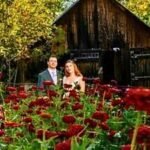 A Maine couple grew their own wedding flowers in a 30-by-50-foot backyard garden after estimating florist costs could reach $5,000