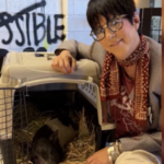 A pig became famous after running through Hollywood; Oscar-nominated songwriter Diane Warren won him in a silent auction and sent him to a 7-acre sanctuary