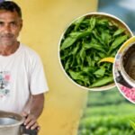 An old pressure cooker + mixer-grinder became a tea-processing machine: Meet 51-year-old Assam farmer Ratan Ray, whose low-cost invention crushes, tears and curls tea leaves
