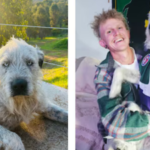 An Australian man offered $10,000 to find his missing dog; then a stranger sent him an AI-generated photo of the pet in a cage in a suspected scam | World News
