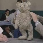 Antique teddy bear valued at $7,000-$8,000 in 1996 gets a $10,000 updated value in 2026 for its rare white fur and classic features | World News