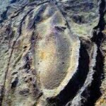 Noah’s Ark mystery deepens as archaeologists drill into Turkey’s Mount Ararat site for first time, collect soil samples from depths of up to 60 feet to search for evidence of ancient wood