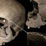 Archaeologists find 19 injuries in 12 people whose remains were placed in houses, wells and pits across Iron and Viking Age Scandinavia