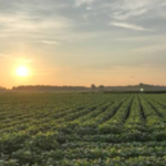 Arkansas officials took just 1.62 acres from a family trust's land and initially valued the loss at $417,825; after an 11-year fight over road access, an appeals court upheld a $3 million jury award