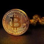 How a Brooklyn crypto cop took down a global scam network