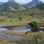 Brazil plants 840,000 trees to restore 607 hectares of Atlantic Forest and reconnect wildlife habitats after 20 years of conservation