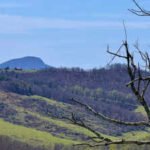 Virginia has acquired 2,211 acres around Buffalo Mountain to create a new conservation area, protecting nearly 14 miles of native trout streams and expanding a landscape already drawing 15,000 visitors a year