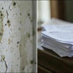 In 2019, a Florida homeowner disputed her insurer's water-damage payment; Supreme Court ruled a later notice law could not apply retroactively | World News